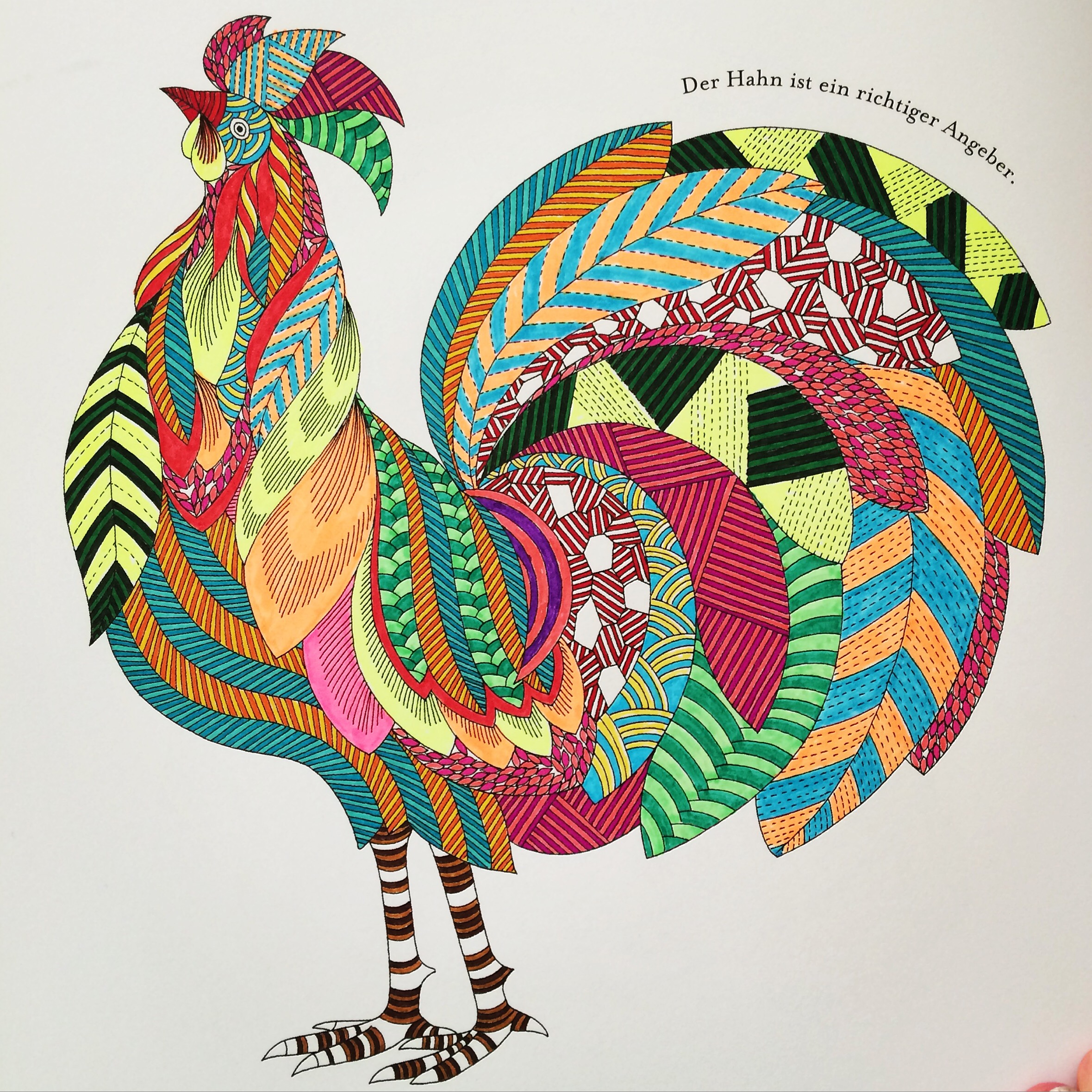 Animal Kingdom」Coloring Book Update 20 – tinadayo